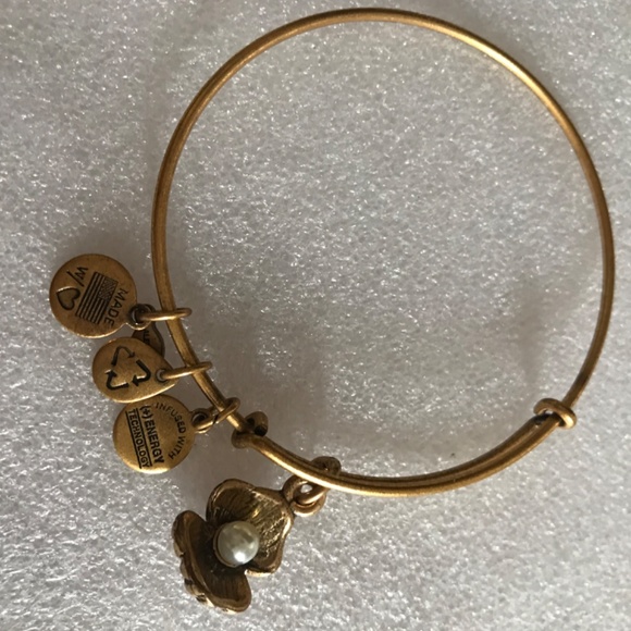 Alex and Ani Expandable Wire Bracelet - Picture 3 of 7
